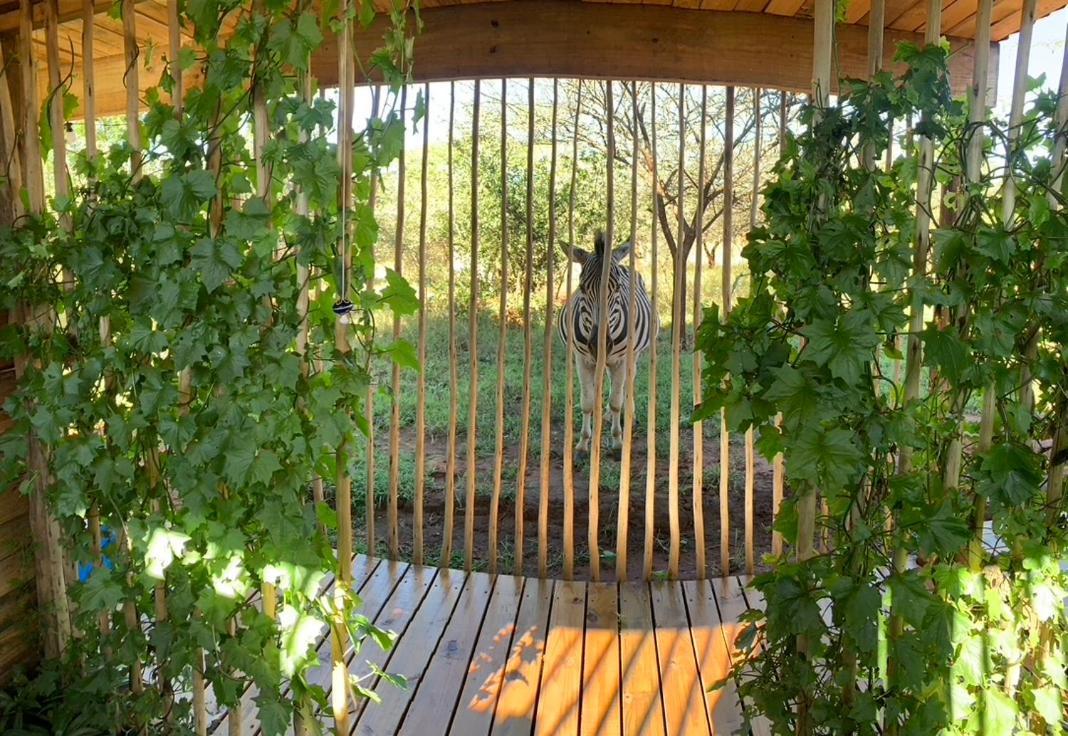 Mudhouse Zululand Vila Hluhluwe Exterior foto